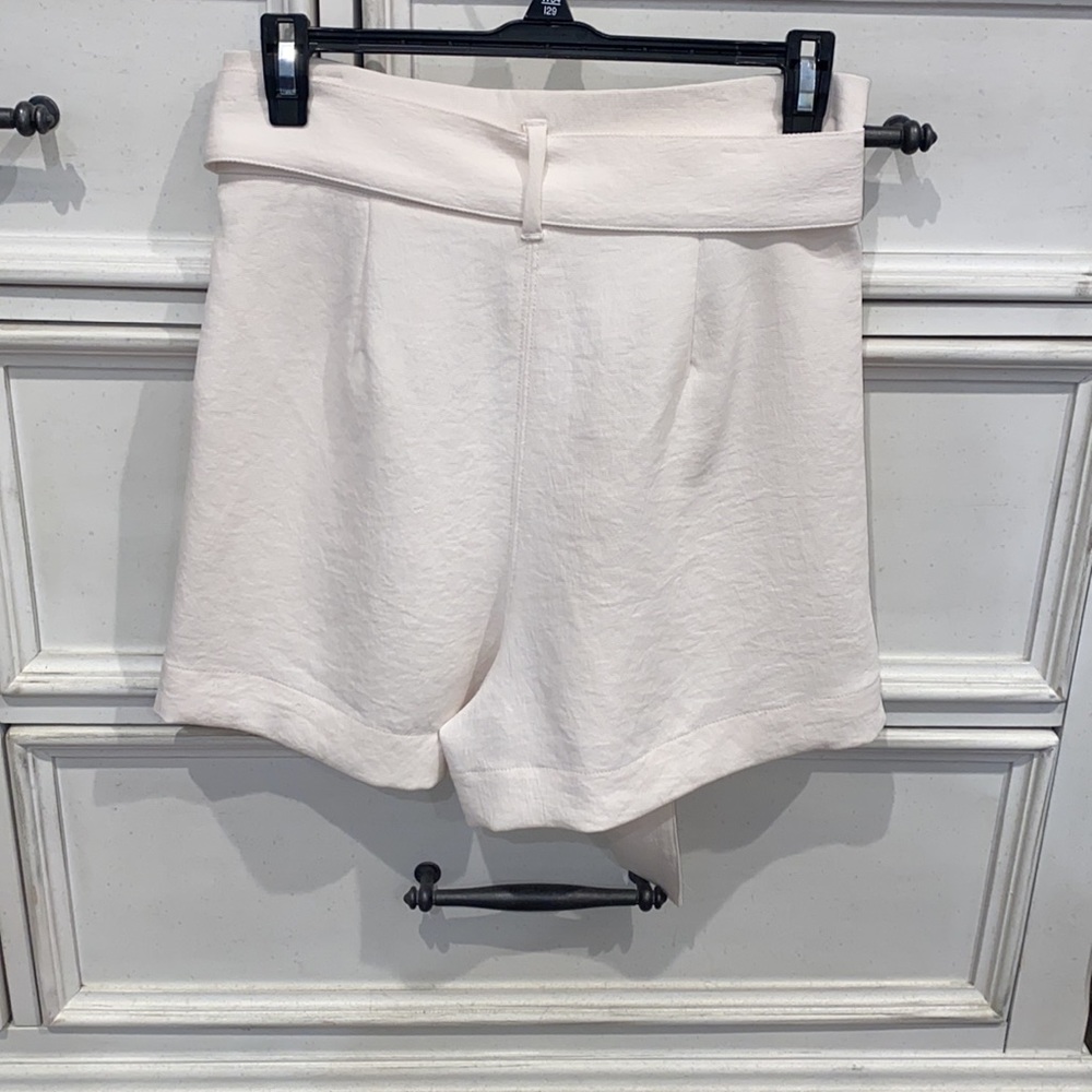Aritzia Belted High Waited Shorts - Picture 3 of 5